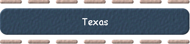  Texas 